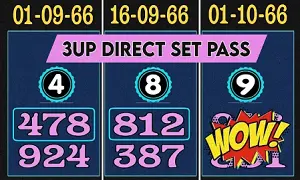 Thai Lottery 3UP Direct Set HTF Tass and Touch Paper 01-10-2023