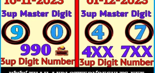 Thai Lottery Master Touch Single Digit Win Number