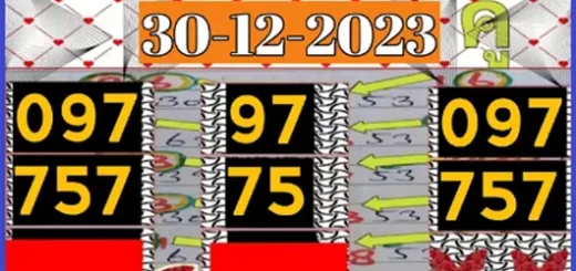 Thai Government Lottery Single Digit Open Full Rules 30-12-2023