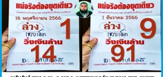 Thailand Lotto 3up down open digit set