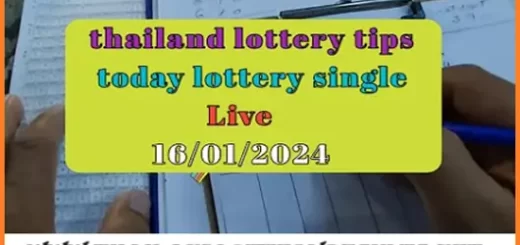 Thailand Lottery Today Single Cut Digit Live Vip Tips 17-01-2024